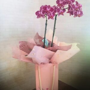 ARR037 - Orquídea rosa na sacola